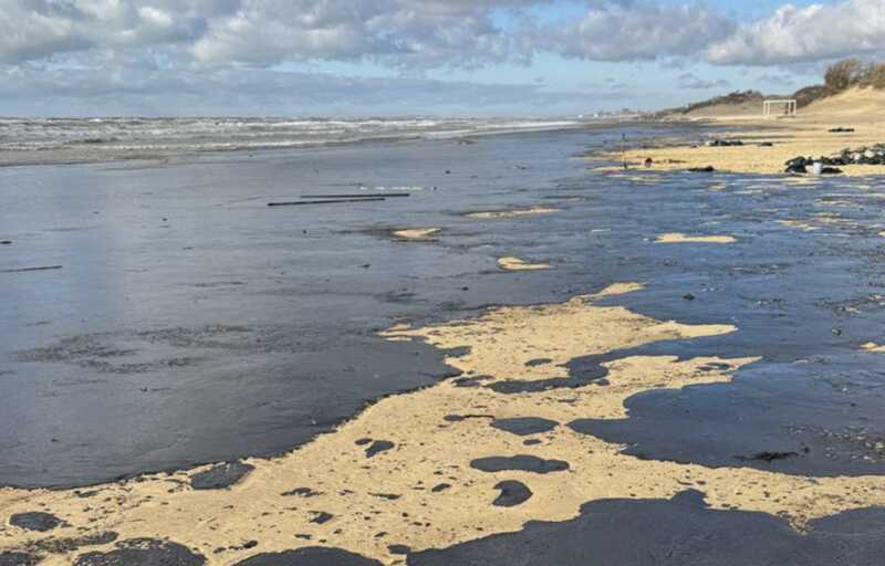 Авария танкера вызвала массовую гибель крабов, моллюсков и медуз в водах Черного моря