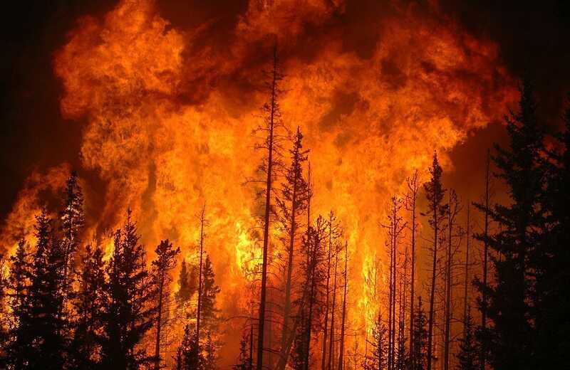 В Бурятии тушат крупный лесной пожар: задействовано более 200 человек