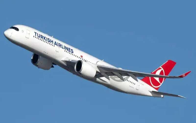Turkish Airlines задержал рейс из Внуково почти на 13 часов