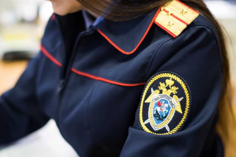 Сотрудники Следственного комитета осуществили обыски у активистки Екатерины Шлапаковой и её близких
