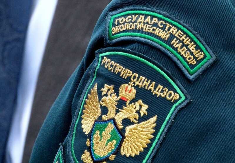 Росприроднадзор требует от «Тарховского» сотни миллионов за загрязнение среды
