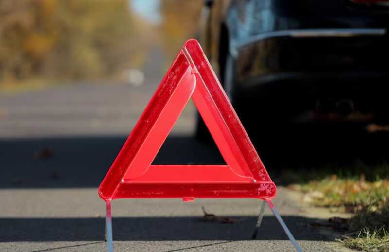 Автомобиль в Бурятии сбил лошадь и ранил двух человек