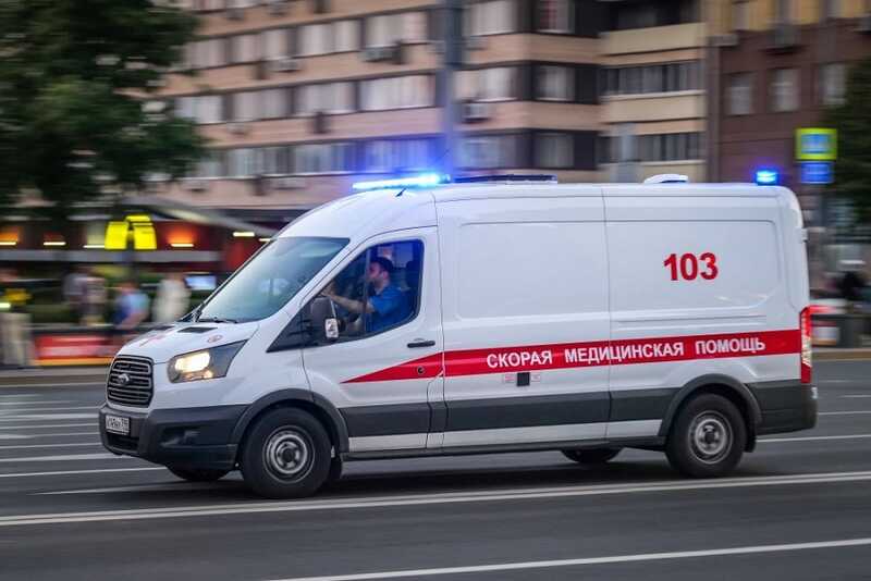 В Мурманске породистая собака напала на ребенка