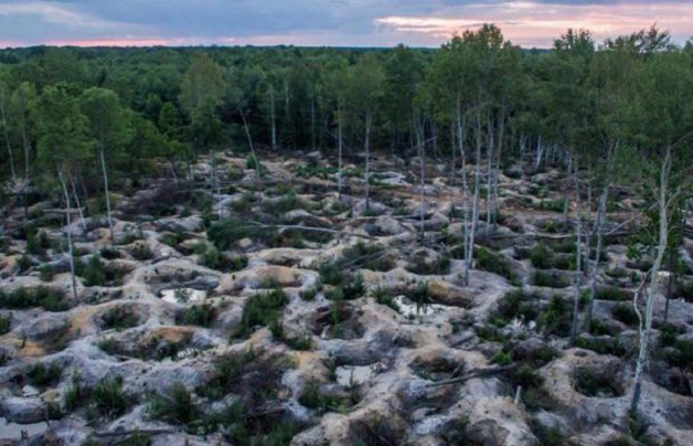 «Это Дикий Запад. Люди сошли с ума». Расследование National Geographic о янтарной лихорадке в Украине