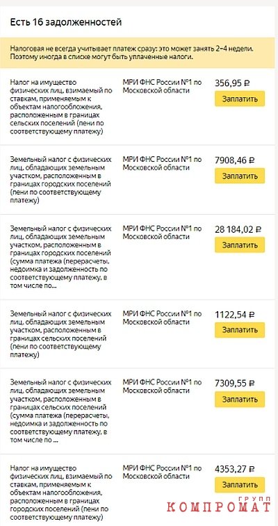 Львята Якеменко. Чем пахнет антиалкогольное движение "Лев против"